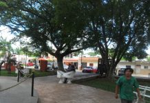 Vecinos solicitan vigilancia