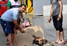 Sacrificio masivo